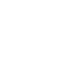 icon__Apple