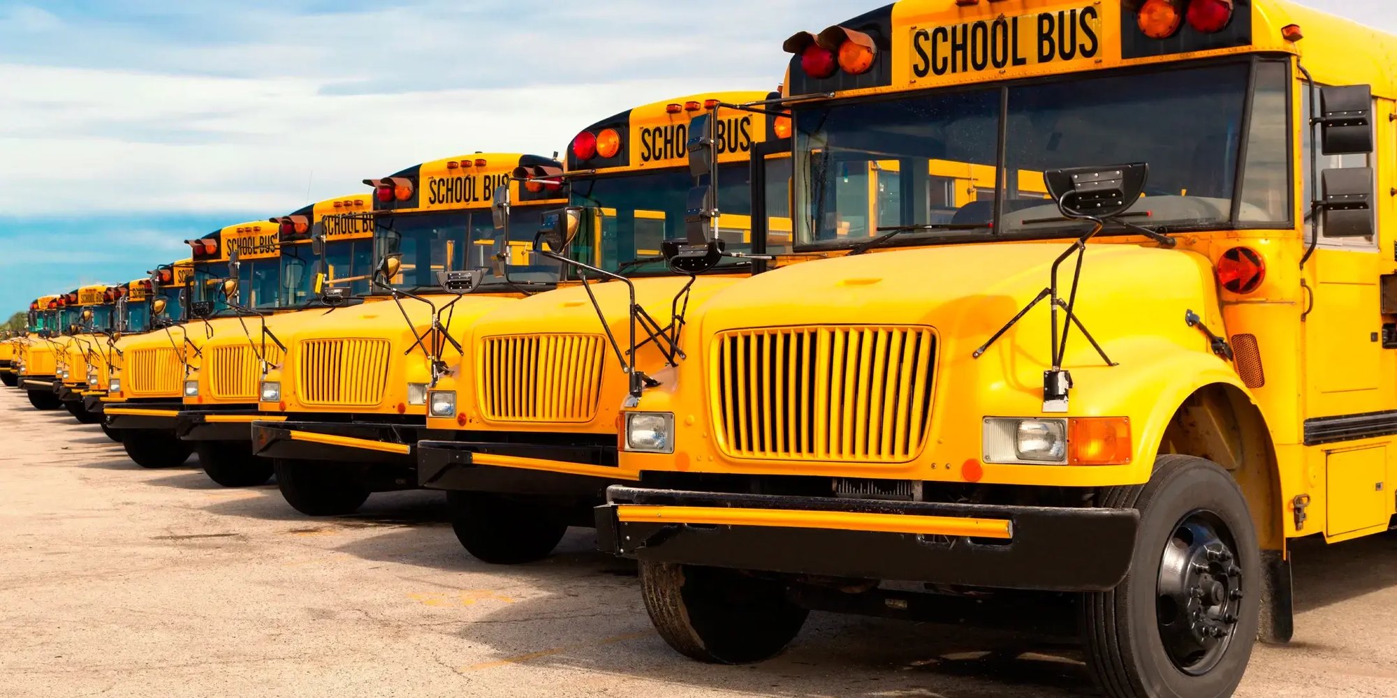 A row of school buses